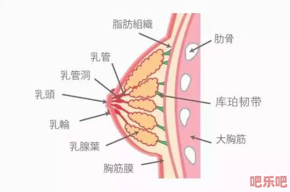 全身裸露大胸挤奶漫画软件引发热议，用户数量激增至百万，背后隐藏的秘密令人震惊！