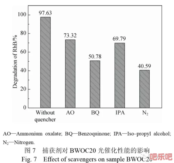 三叶草gw1155：一种新型多功能材料在环境修复与能源存储中的应用研究及其性能评估