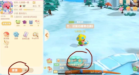 摩尔庄园全面指南：高效完成向导任务步骤与技巧攻略