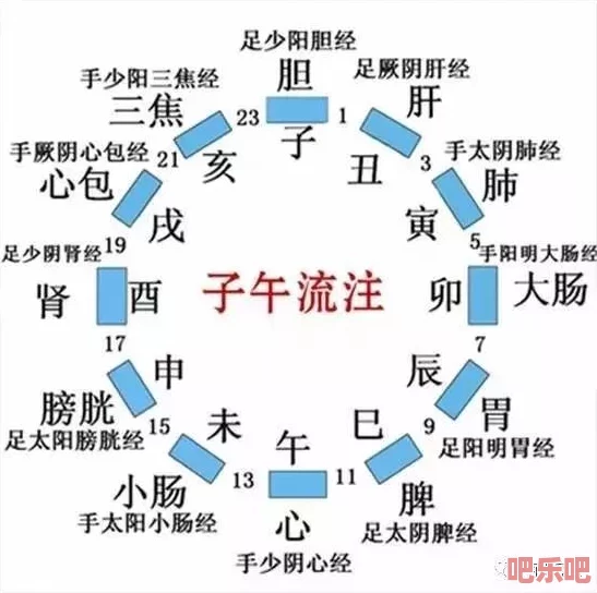 全面解析人体经脉有哪些及高效经脉修炼攻略指南