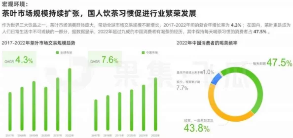 日本三线和韩国三线的市场定位：2023年最新动态与发展趋势分析