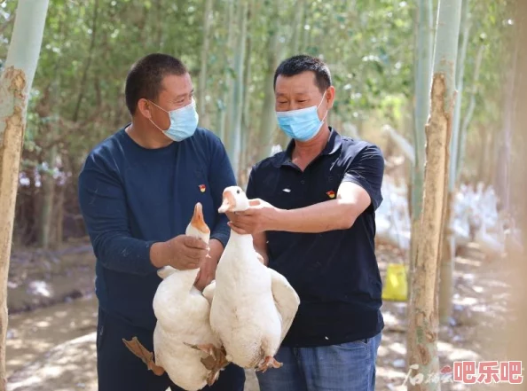 牧羊人之心：全面探索孵化的鸭装扮图鉴与收集攻略