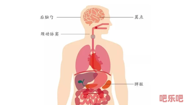 刺激的乱亲全集：最新动态更新，带你了解更多精彩内容与角色发展，敬请期待全新剧情揭晓！